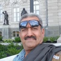 mohammad sheikhi