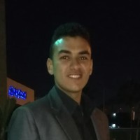 Mohamed Amer