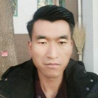 杨万全