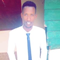 Abdi Bashir