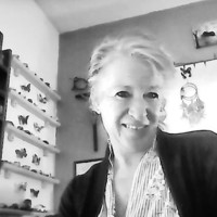 Donna DiPietro
