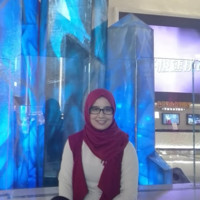 salwa habbachi
