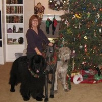 Kathy Bowler