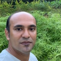 hemantha kumar