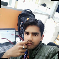 Narendra Pal Singh Jadaun