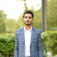 Waqar Ahmed Malik