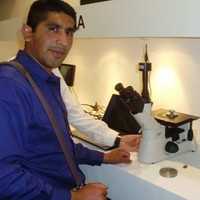 lucio demetrio gomez