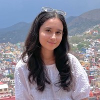 Maheen Masoud
