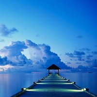 Maria Amor Sanchez Pastor