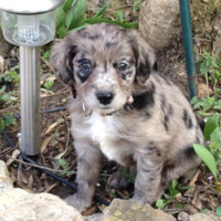 Sylvie CERDAN SOULIER