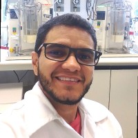 Fernando K. C. Costa, Ph.D.