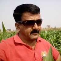 Laxman Gadekar