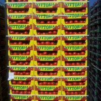 il grappolo di platino