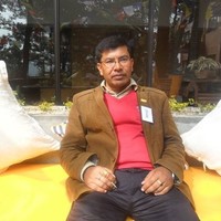 Dhan Lamsal