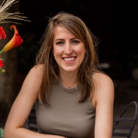 Dominique van der Westen