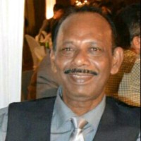 Harvey Fernandes