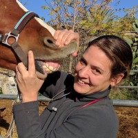 Hadar Horn Mandel, Dvm