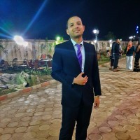 Hossam Eldin Nasser