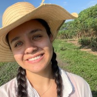 Estephania Nieto Ortiz
