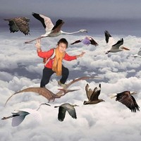 Ricky Chan Chi Hung