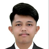 Mark Lester Domingo