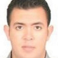 Mohamed Abdel Wanis