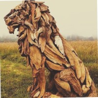 Chester Castillo Godinez