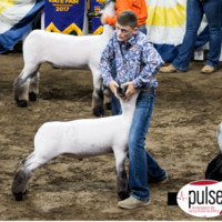 Lane Slaton