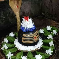 Poonam Gheware