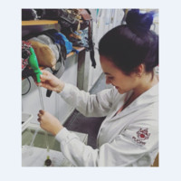 Letícia Portella Fiorese