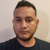 Ansoni Flores