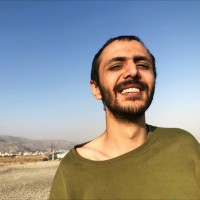 Ali Karimi