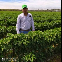 Jose Angel Fierro Wong