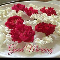 ishrat masood