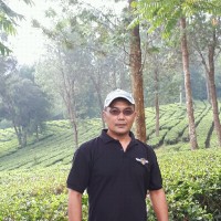 Thomas Santosa