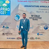 Karim M.Abdellah