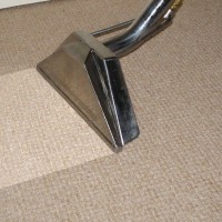Carpet Plus