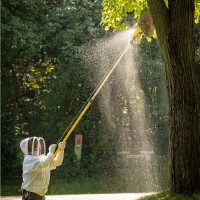 Christopher Baumann, ACE