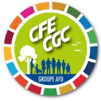 Cfe-Cgc Groupe Afd