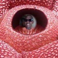 Mohamadou Thioubou