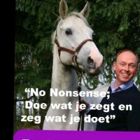 Ton Koenderink