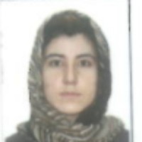 Seema Tabish