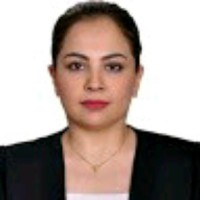 Sahar Haddadi