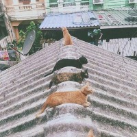 王丹荣