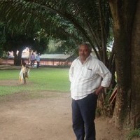 sayed anwar