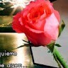 Jose Mendoza Avila