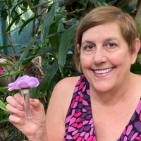 Deb Ferrin
