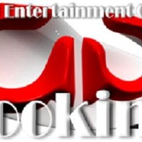 Gemini Entertainment Group