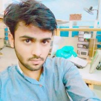 Anus Anees