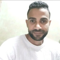 Tarek Elmasry